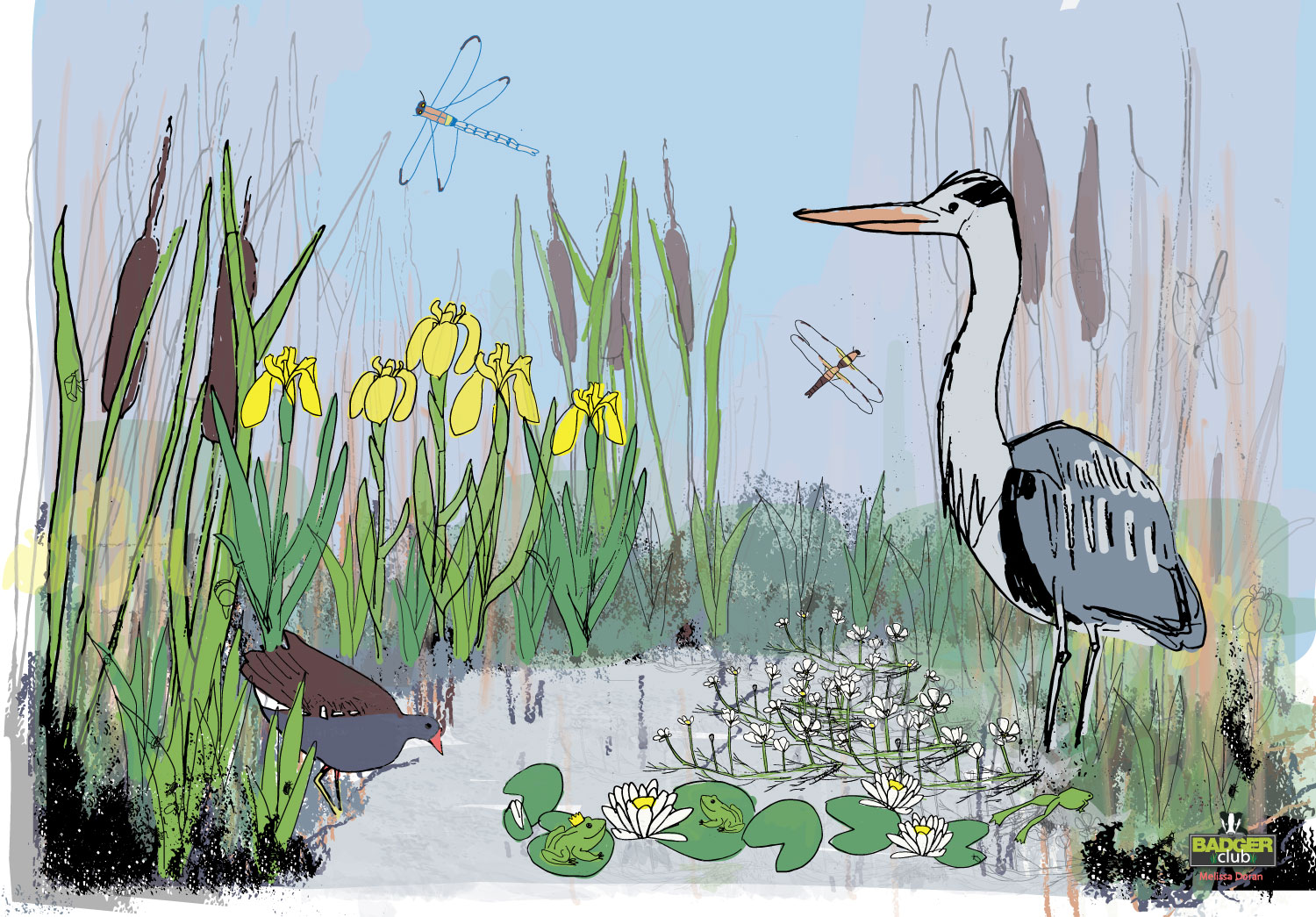 irish-wildlife-trust