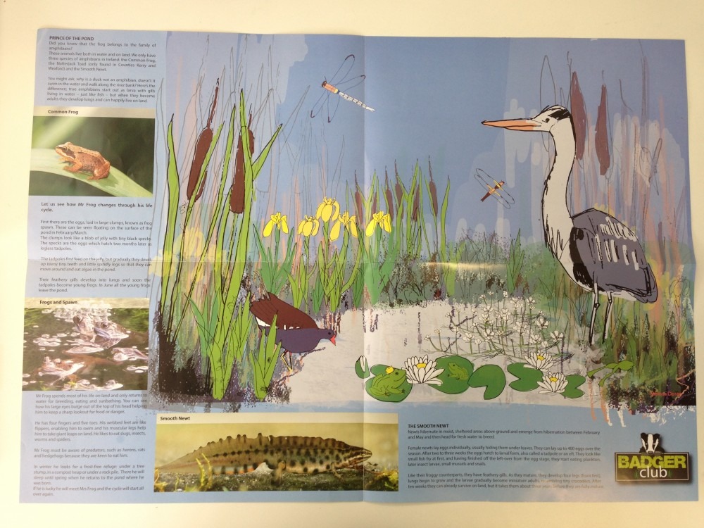 irish wildlife trust melissa doran