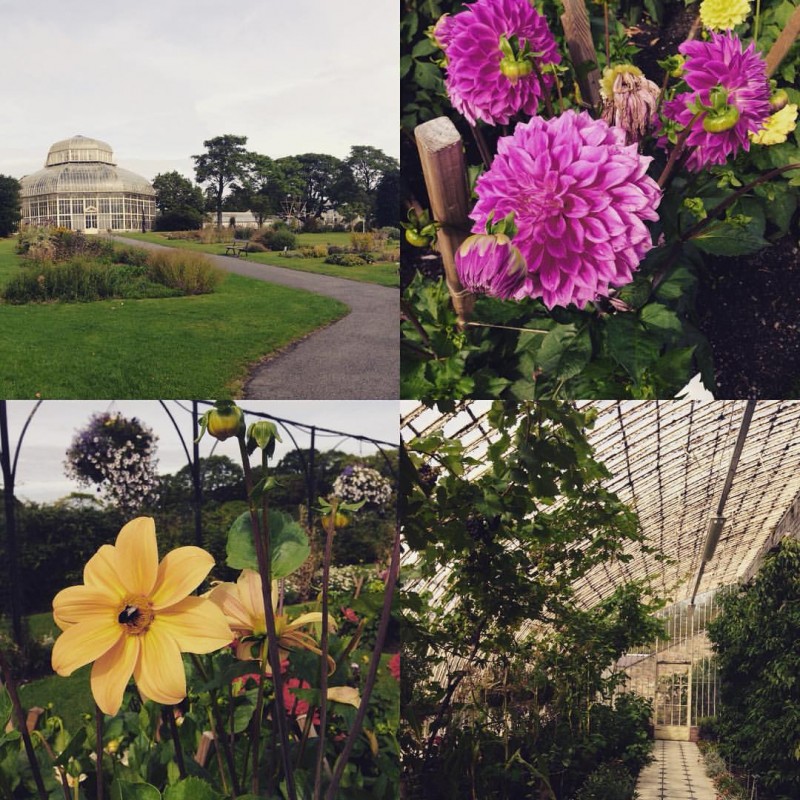 botanic gardens go radiate