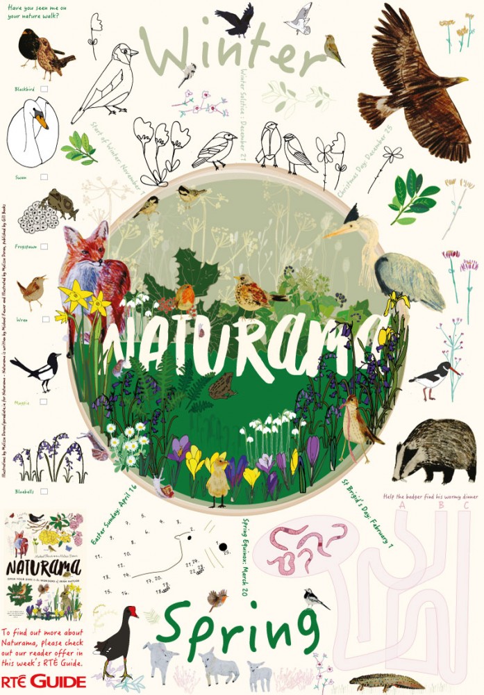 Naturama poster for RTÉ Guide